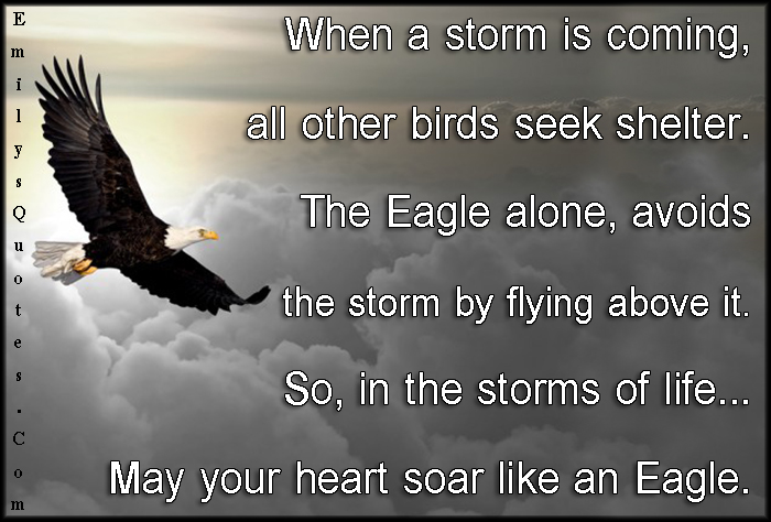 When a storm is coming, all other birds seek shelter. The Eagle alone, avoids the storm by flying above it. So, in the storms of life… May your heart soar like an Eagle