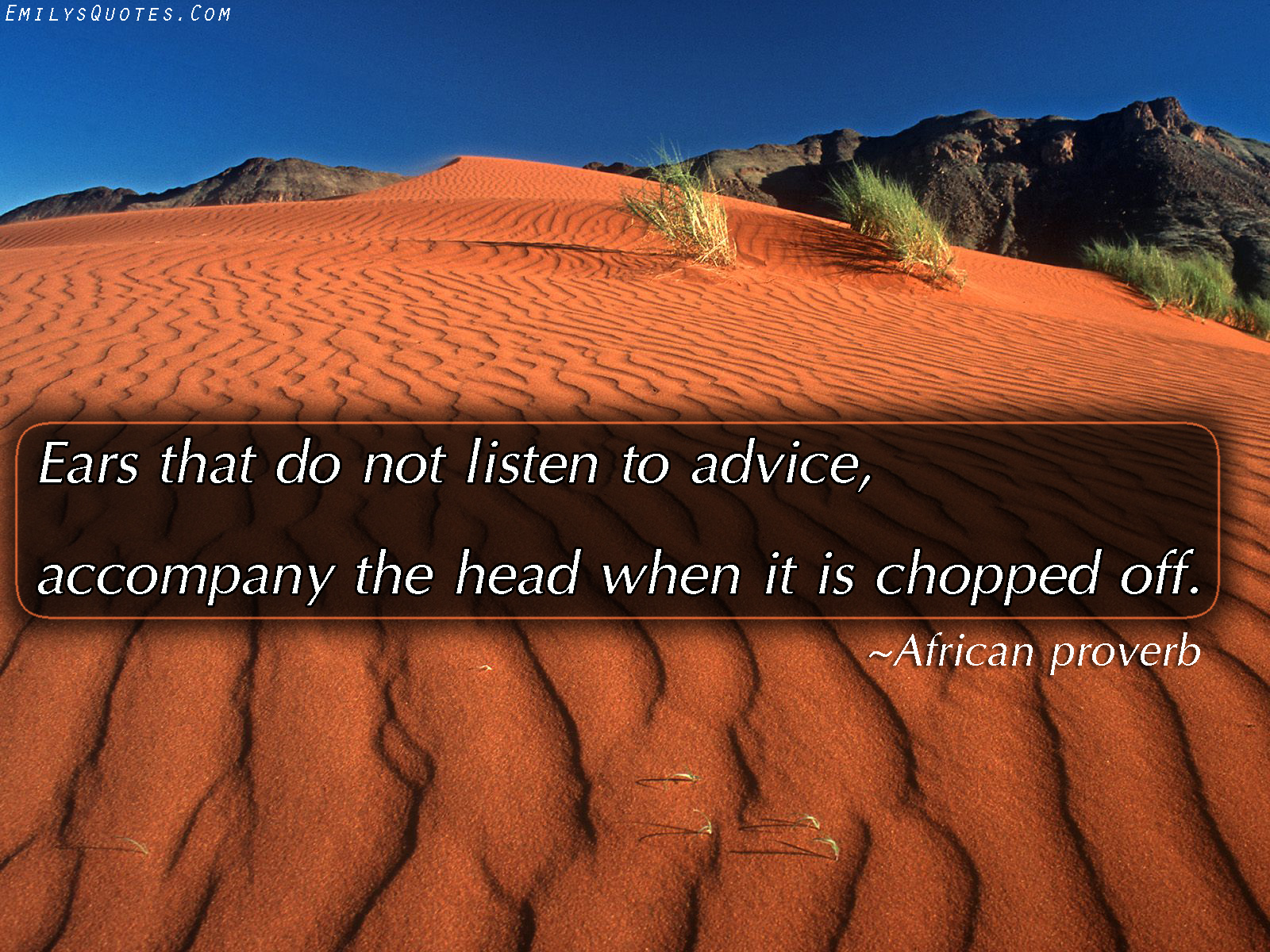 Ears that do not listen to advice, accompany the head when it is chopped off