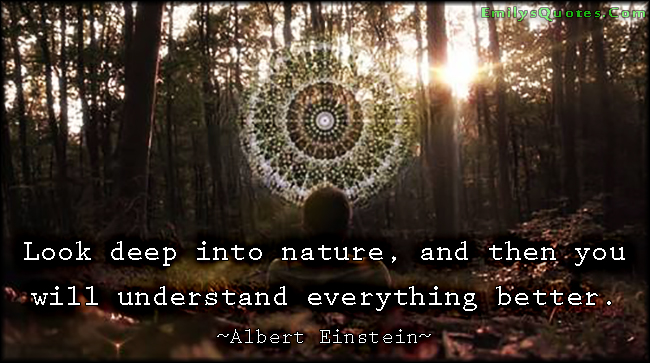Look deep into nature, and then you will understand everything better