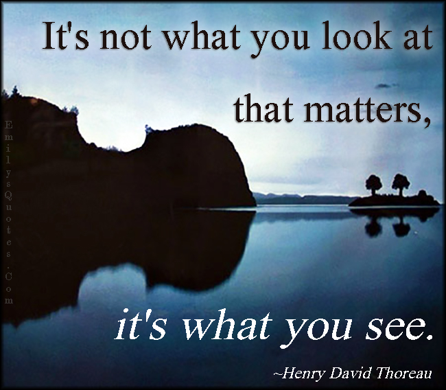 It’s not what you look at that matters, it’s what you see