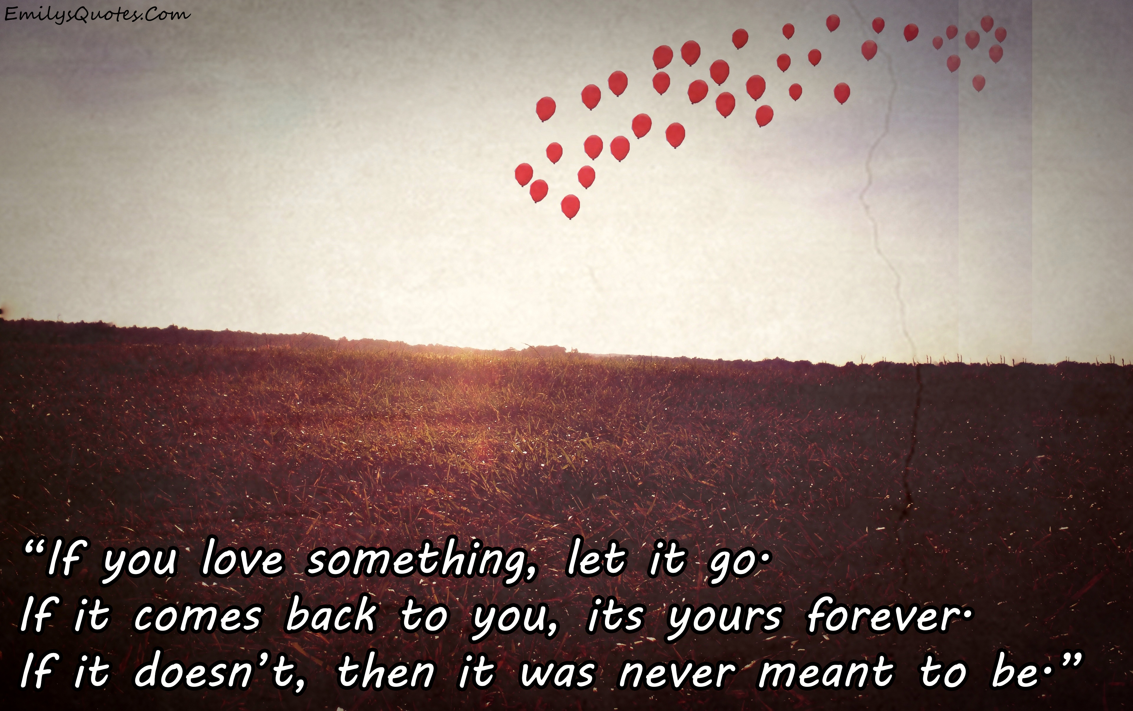 If you love something, let it go. If it comes back to you, it’s yours forever. If it doesn’t, then it was never meant to be