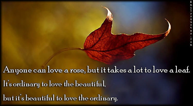 Anyone can love a rose, but it takes a lot to love a leaf. It’s ordinary to love the beautiful, but it’s beautiful to love the ordinary