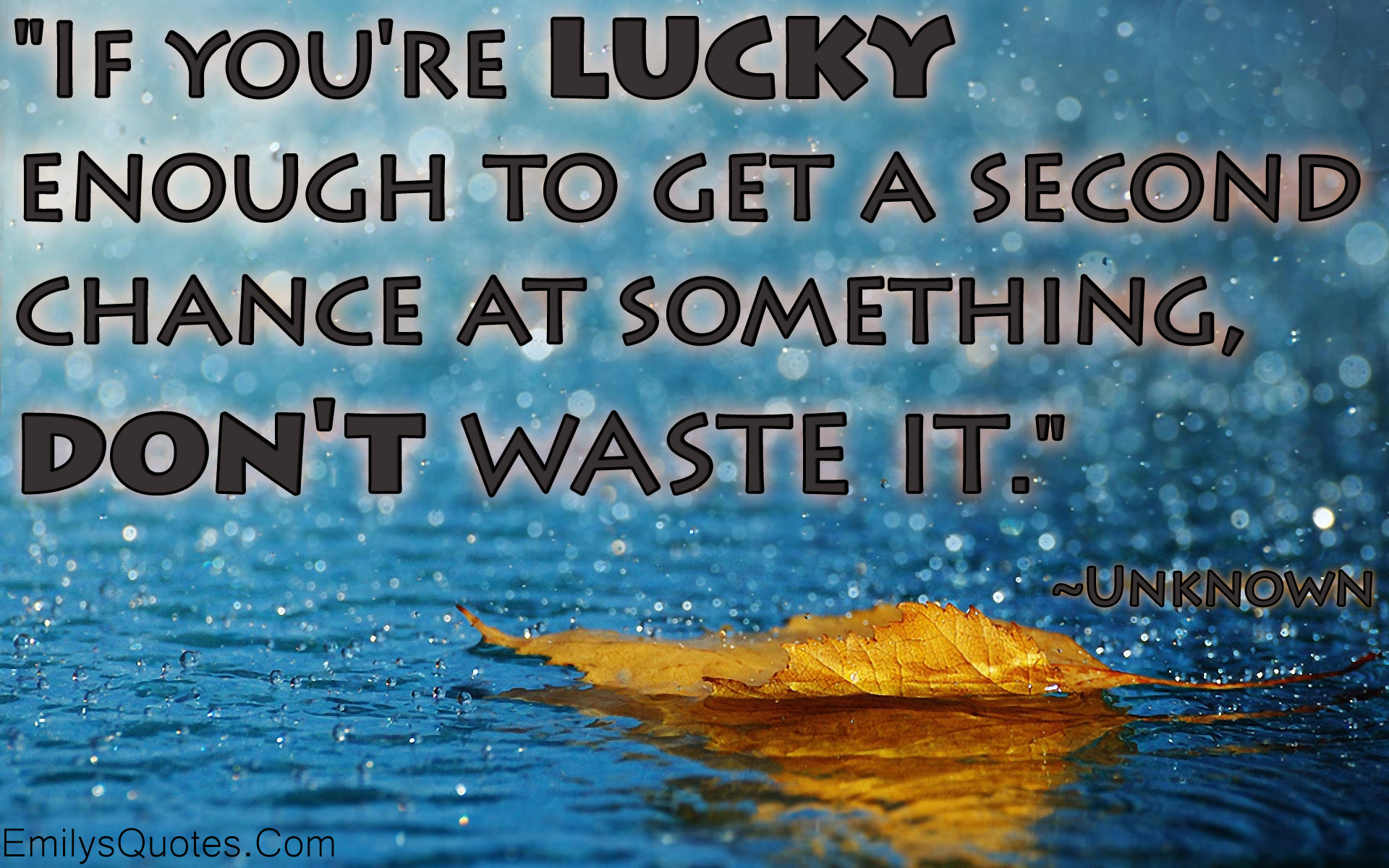 If you’re lucky enough to get a second chance at something, don’t waste it