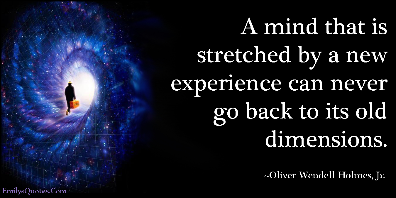 A mind that is stretched by a new experience can never go back to its old dimensions