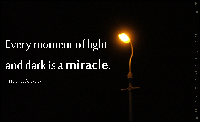 Every moment of light and dark is a miracle