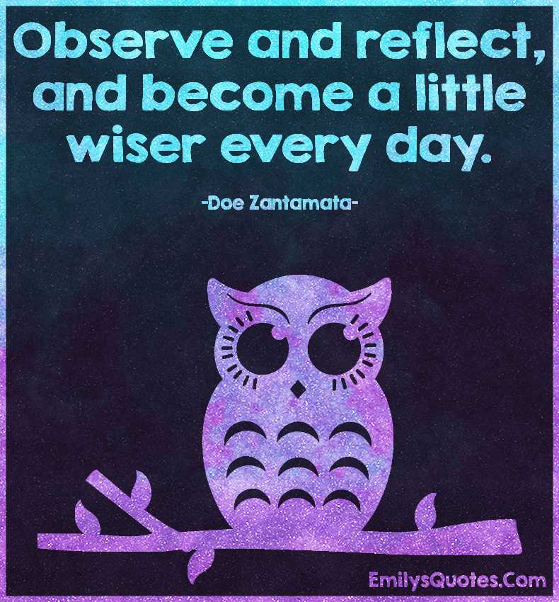 Observe and reflect, and become a little wiser every day