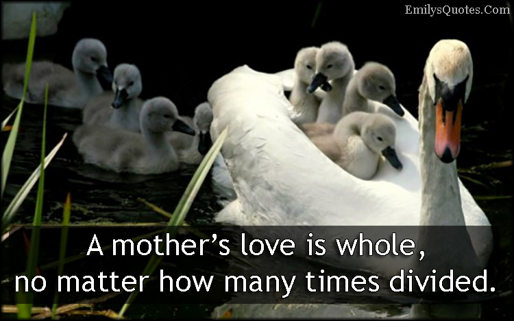 A mother’s love is whole, no matter how many times divided