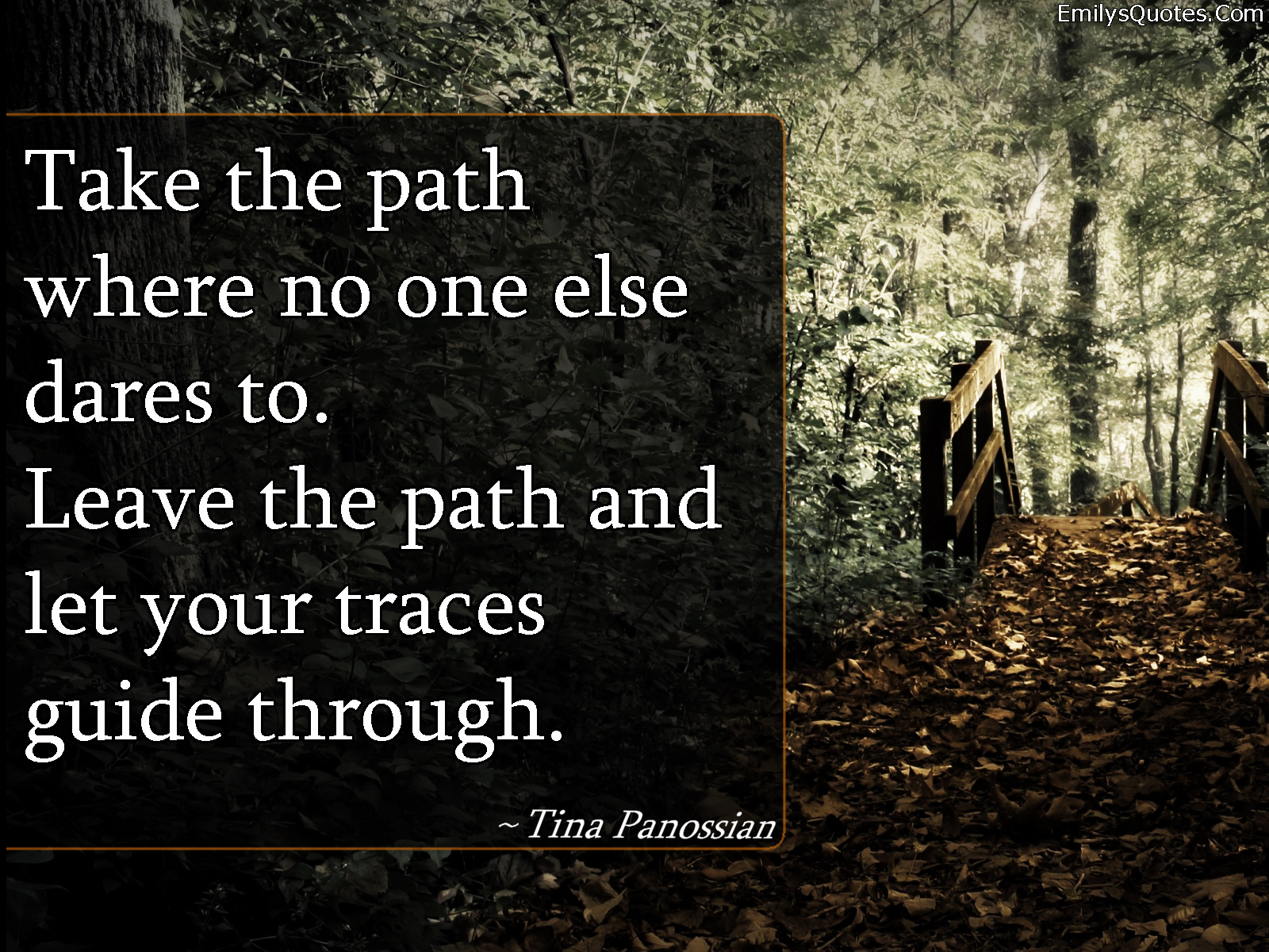 Take the path where no one else dares to. Leave the path and let your traces guide through
