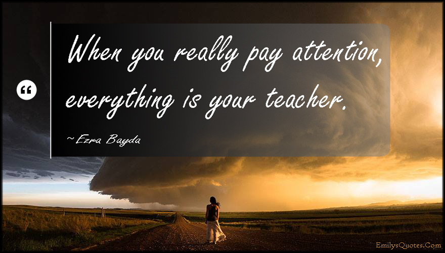 When you really pay attention, everything is your teacher