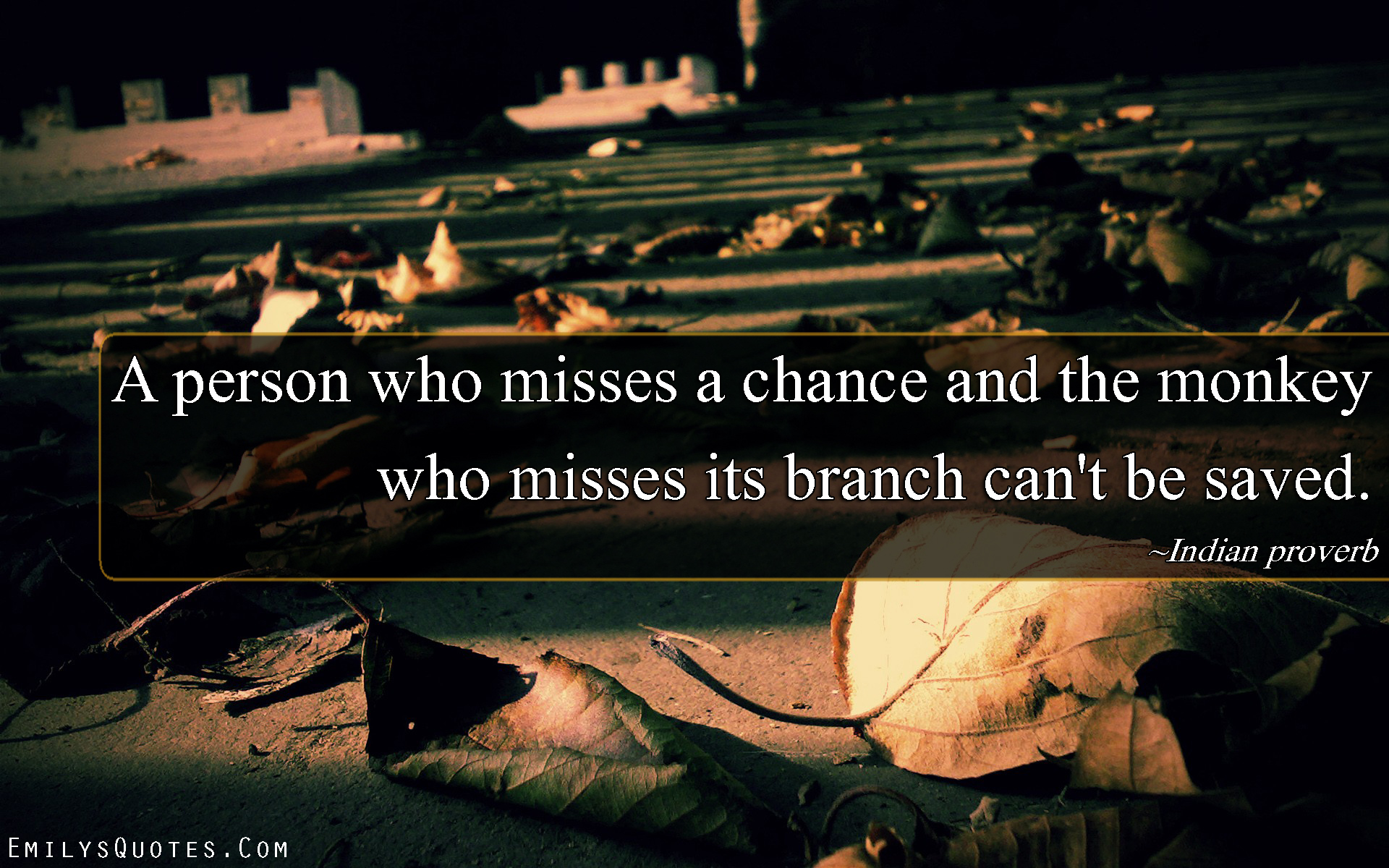 A person who misses a chance and the monkey who misses its branch can’t be saved