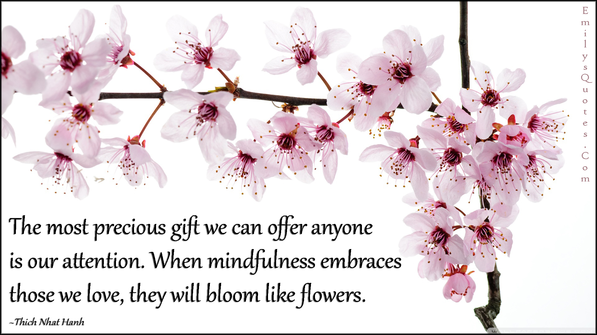The most precious gift we can offer anyone is our attention. When mindfulness embraces those we love, they will bloom like flowers