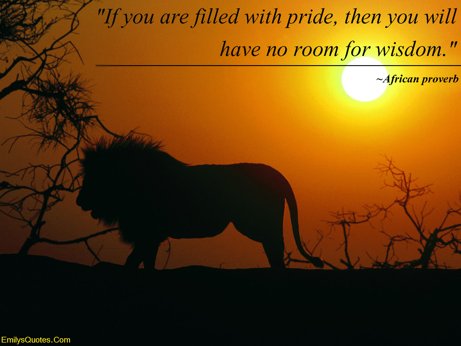 If you are filled with pride, then you will have no room for wisdom