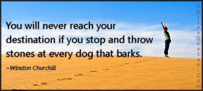 You will never reach your destination if you stop and throw stones at every dog that barks