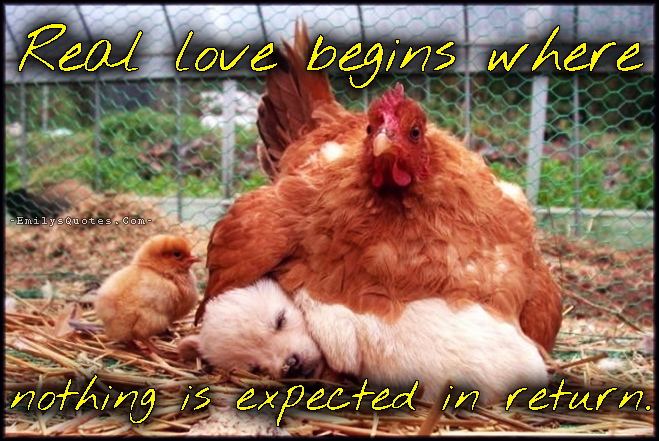 Real love begins where nothing is expected in return