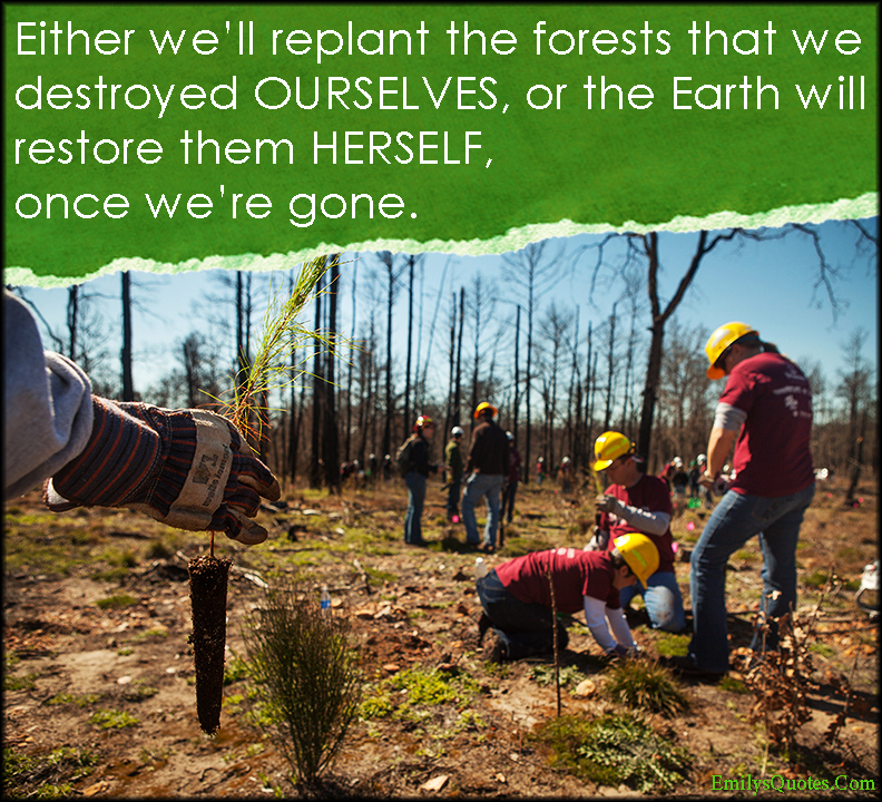 Either we’ll replant the forests that we destroyed OURSELVES, or the Earth will restore them HERSELF, once we’re gone