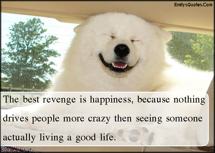 The best revenge is happiness, because nothing drives people more crazy then seeing someone actually living a good life