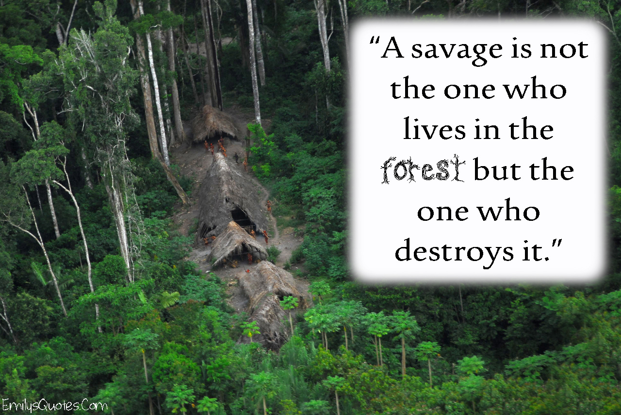 A savage is not the one who lives in the forest but the one who destroys it