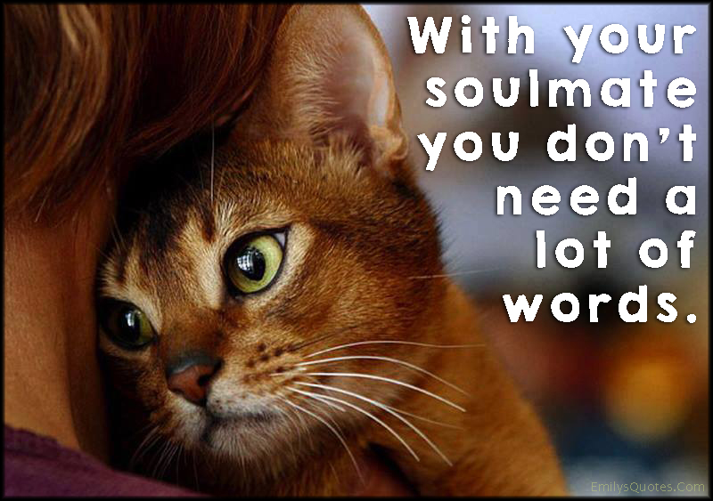 With your soulmate you don’t need a lot of words