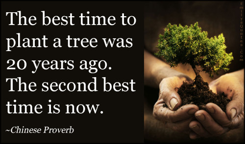 Chinese proverb | Popular inspirational quotes at EmilysQuotes