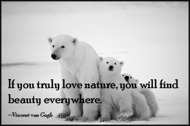 If you truly love nature, you will find beauty everywhere