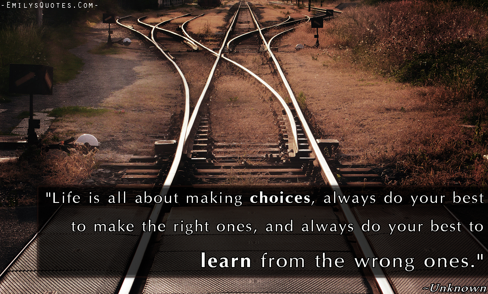 Life is all about making choices, always do your best to make the right ones, and always do your best to learn from the wrong ones