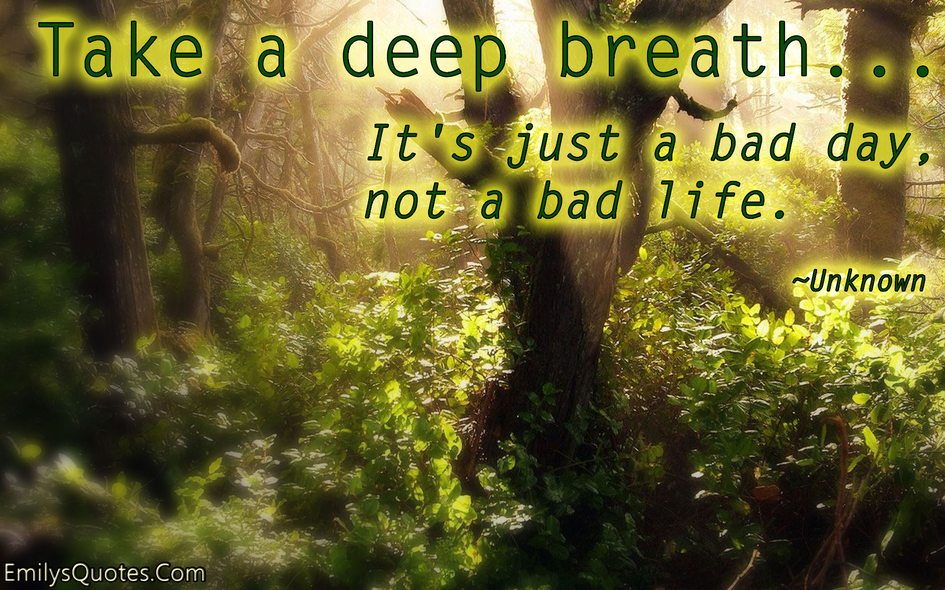 Take a deep breath. It’s just a bad day, not a bad life