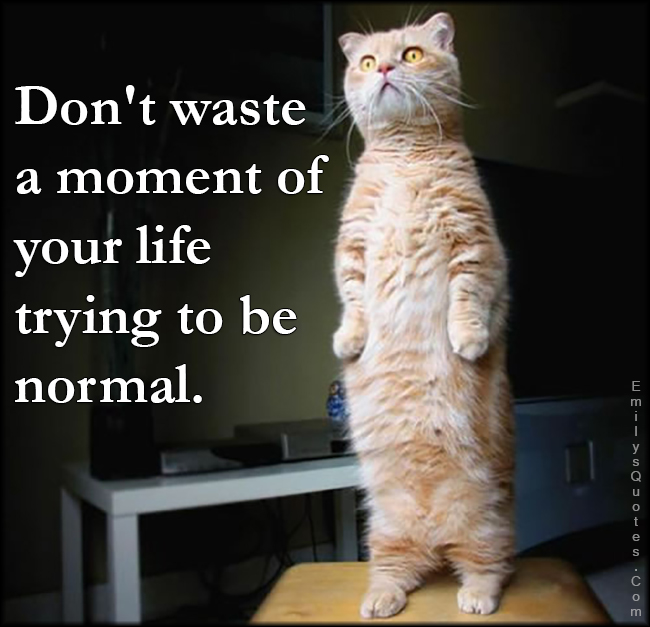 Don’t waste a moment of your life trying to be normal