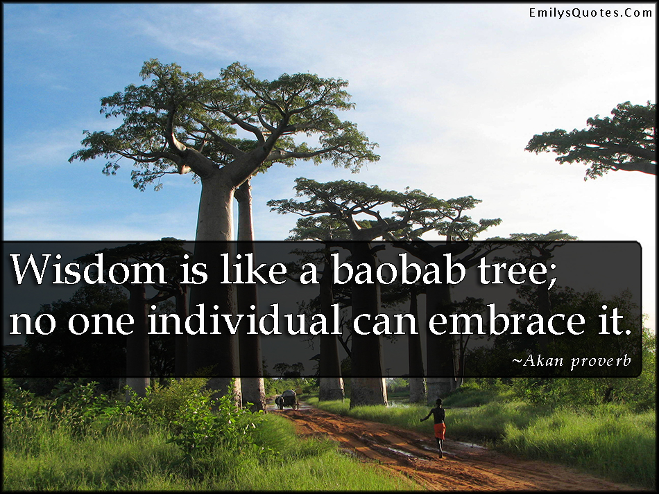 Wisdom is like a baobab tree; no one individual can embrace it