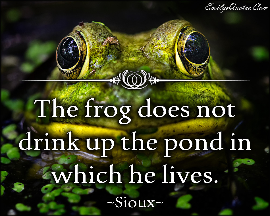 The frog does not drink up the pond in which he lives