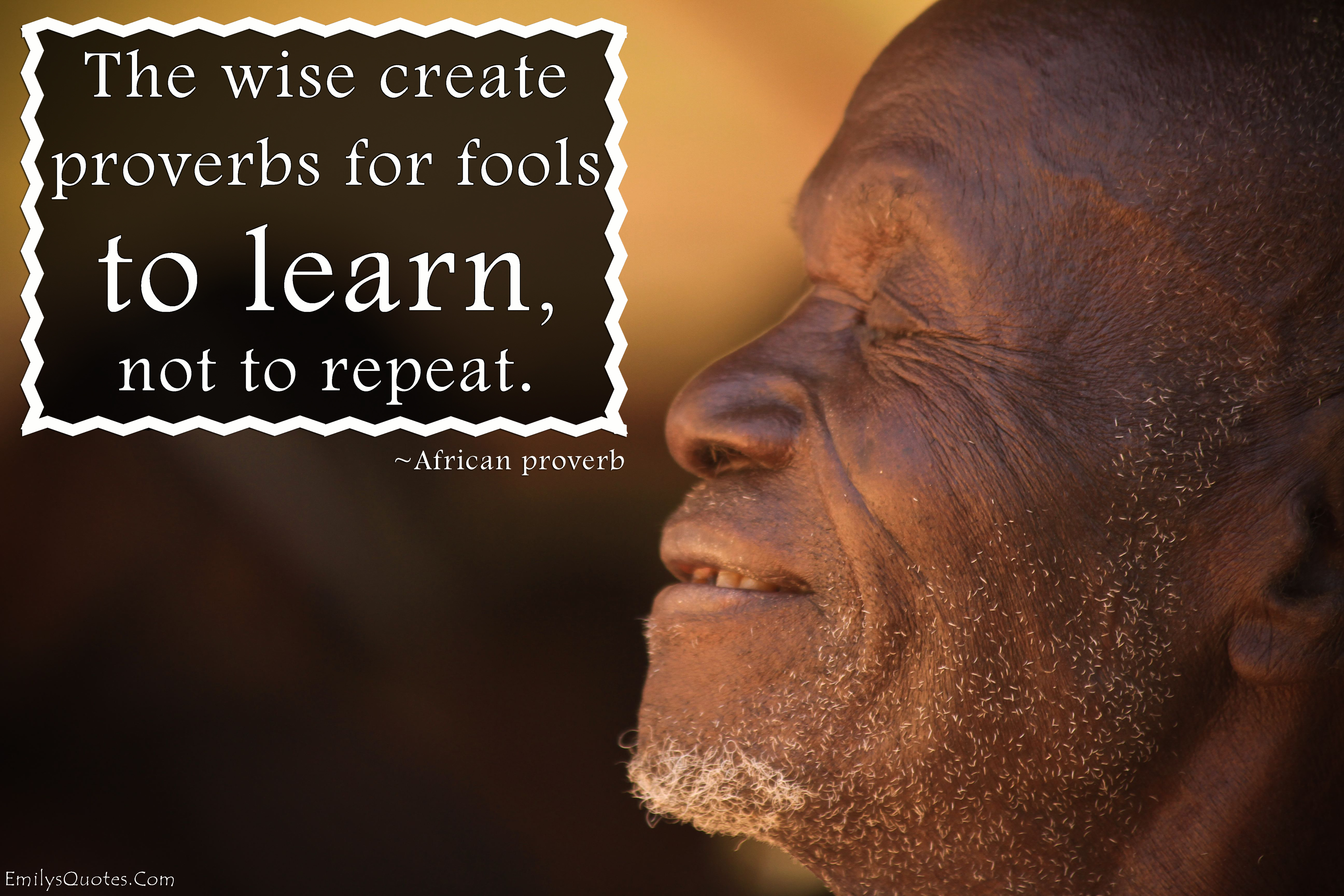 The wise create proverbs for fools to learn, not to repeat
