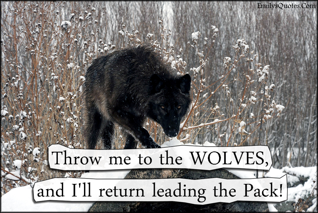 Throw me to the WOLVES, and I’ll return leading the Pack!