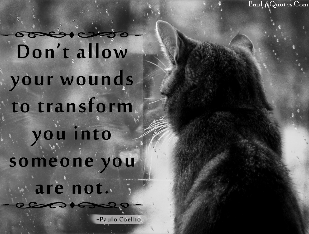 Don’t allow your wounds to transform you into someone you are not