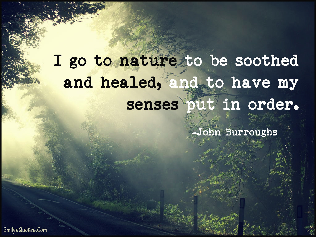 I go to nature to be soothed and healed, and to have my senses put in order.