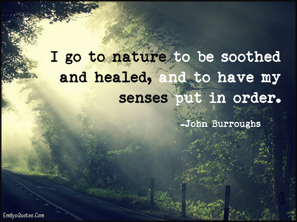 I go to nature to be soothed and healed, and to have