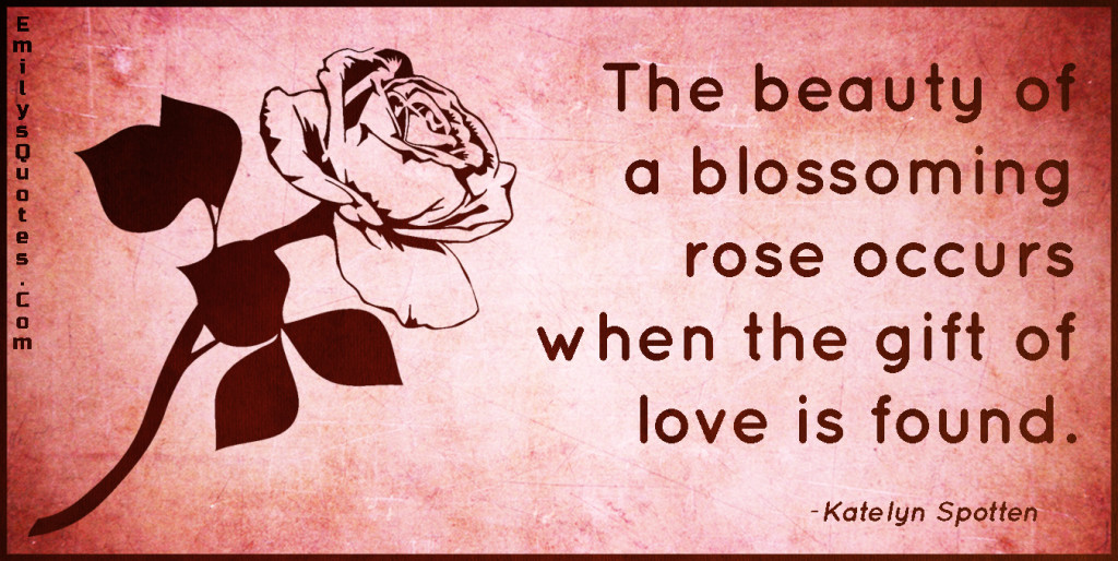 The beauty of a blossoming rose occurs when the gift of love is found.