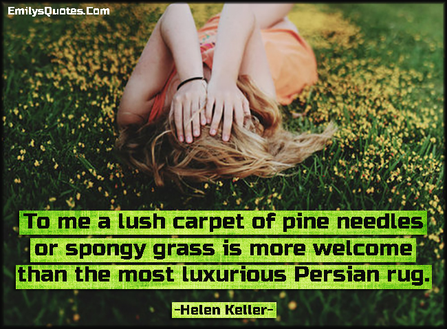 To me a lush carpet of pine needles or spongy grass is more welcome