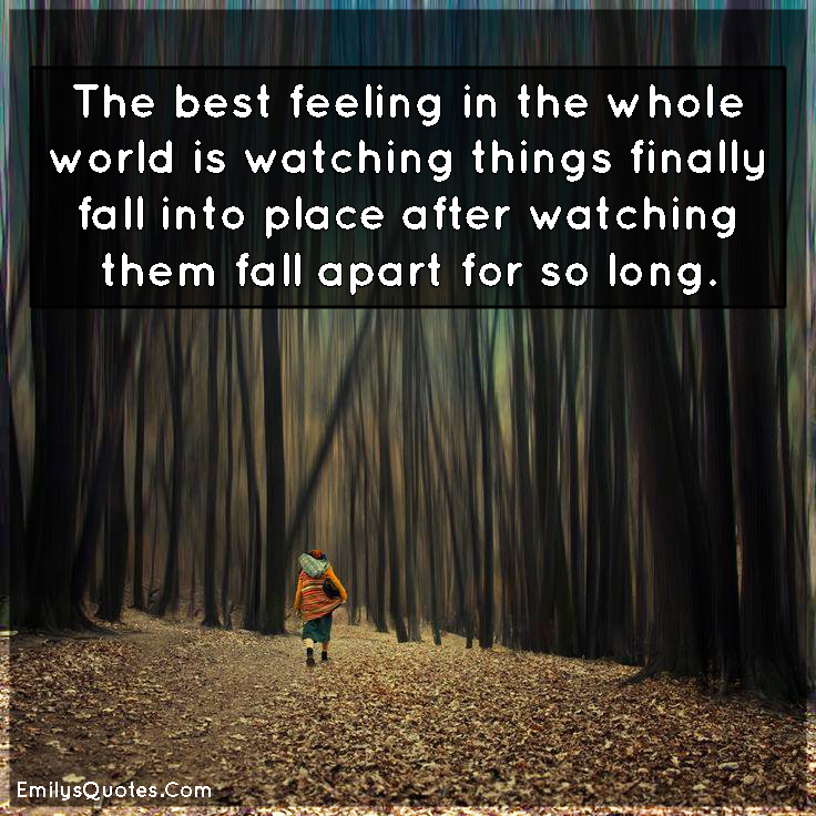 The best feeling in the whole world is watching things finally fall