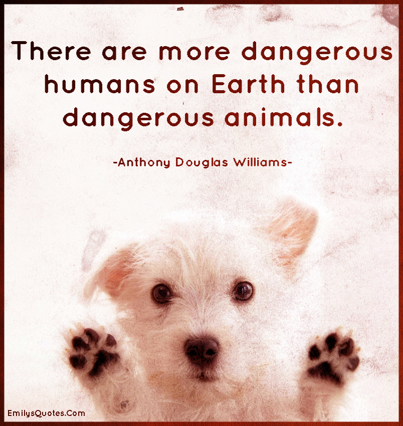 There are more dangerous humans on Earth than dangerous animals