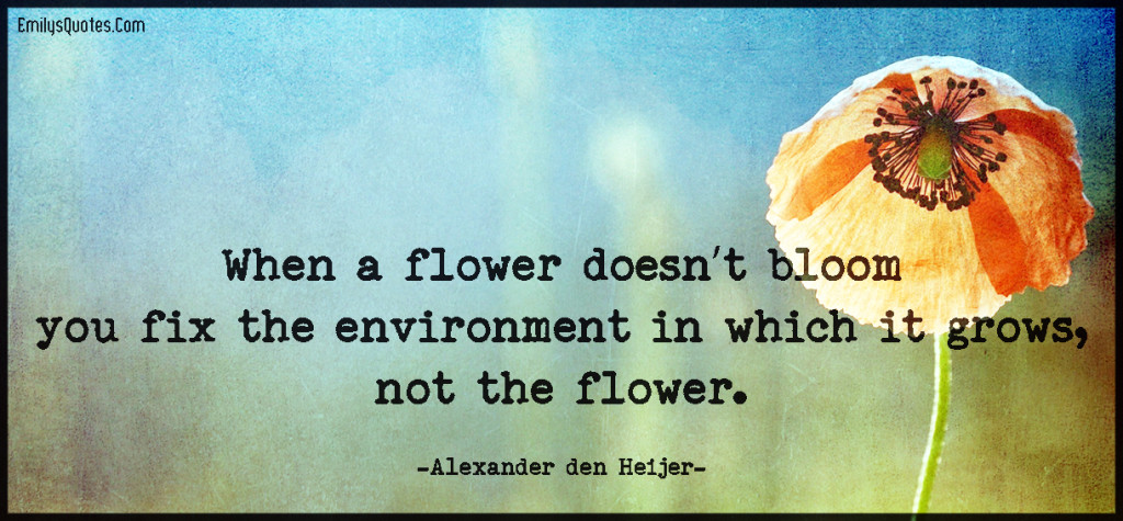 When a flower doesn’t bloom you fix the environment in which it grows, not the flower.