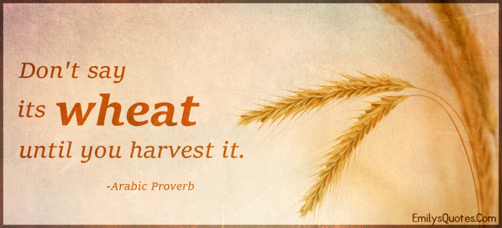 Don't say its wheat until you harvest it.