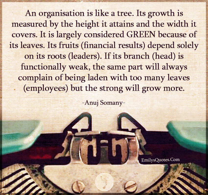An organisation is like a tree. Its growth is measured by the height it attains and the width it covers