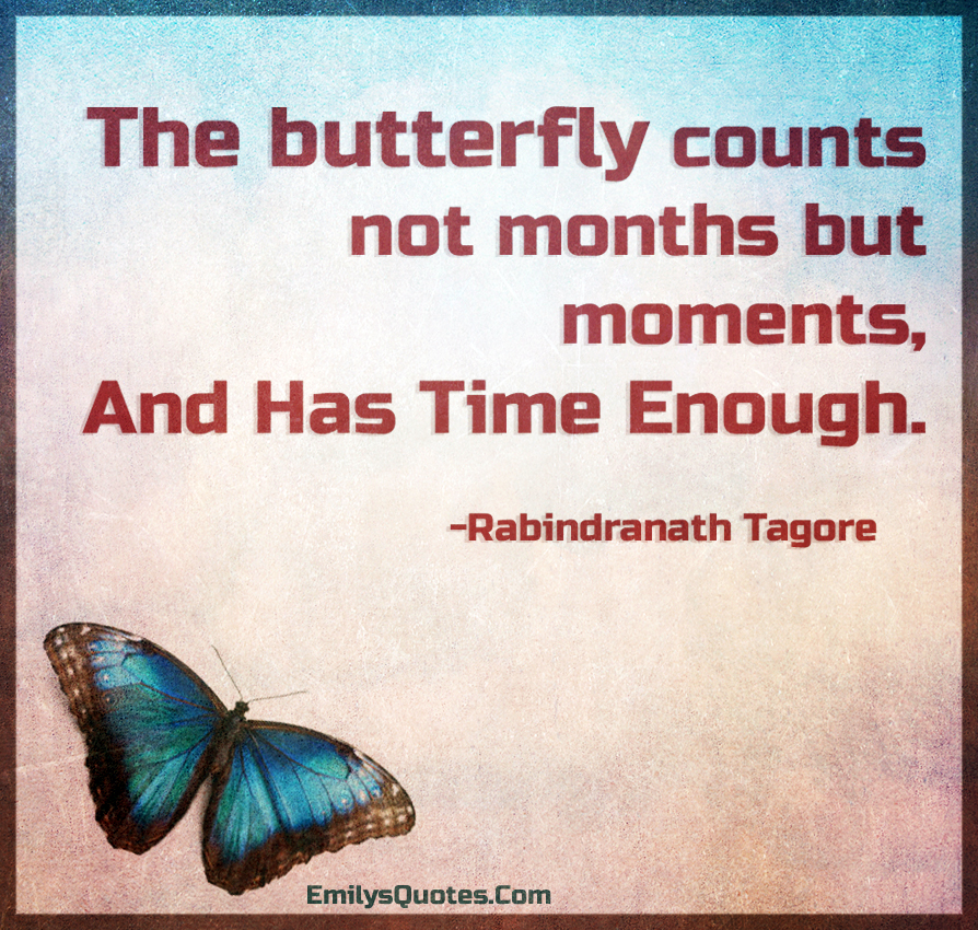 The butterfly counts not months but moments, and has time enough