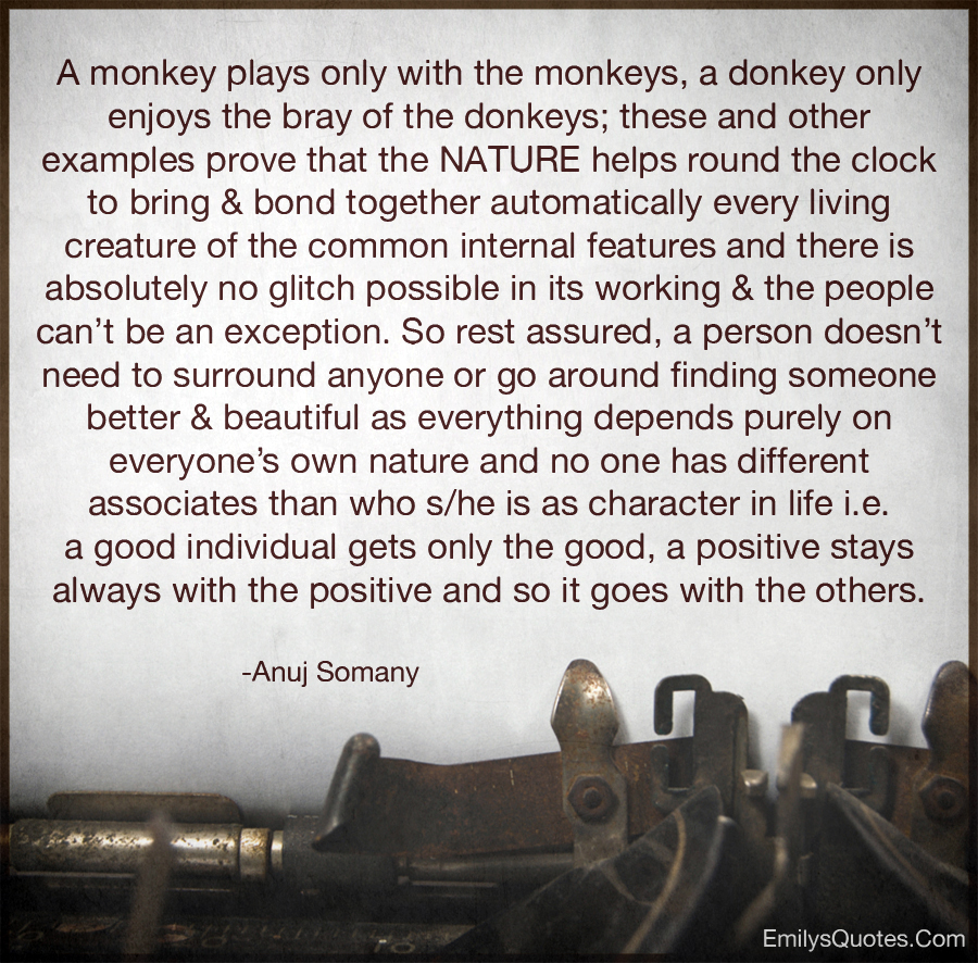 A monkey plays only with the monkeys, a donkey only enjoys the bray of the donkeys
