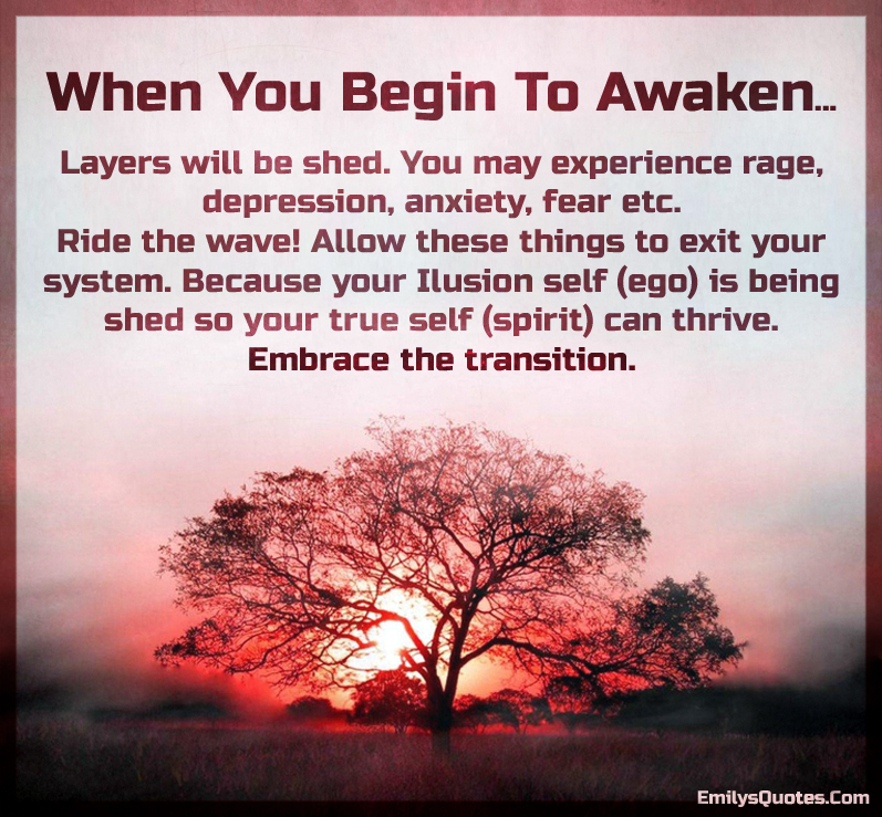 “When You Begin To Awaken