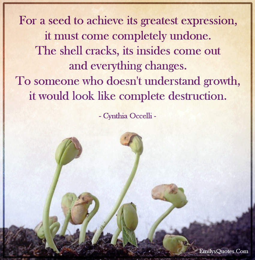 For a seed to achieve its greatest expression, it must come completely undone. The shell