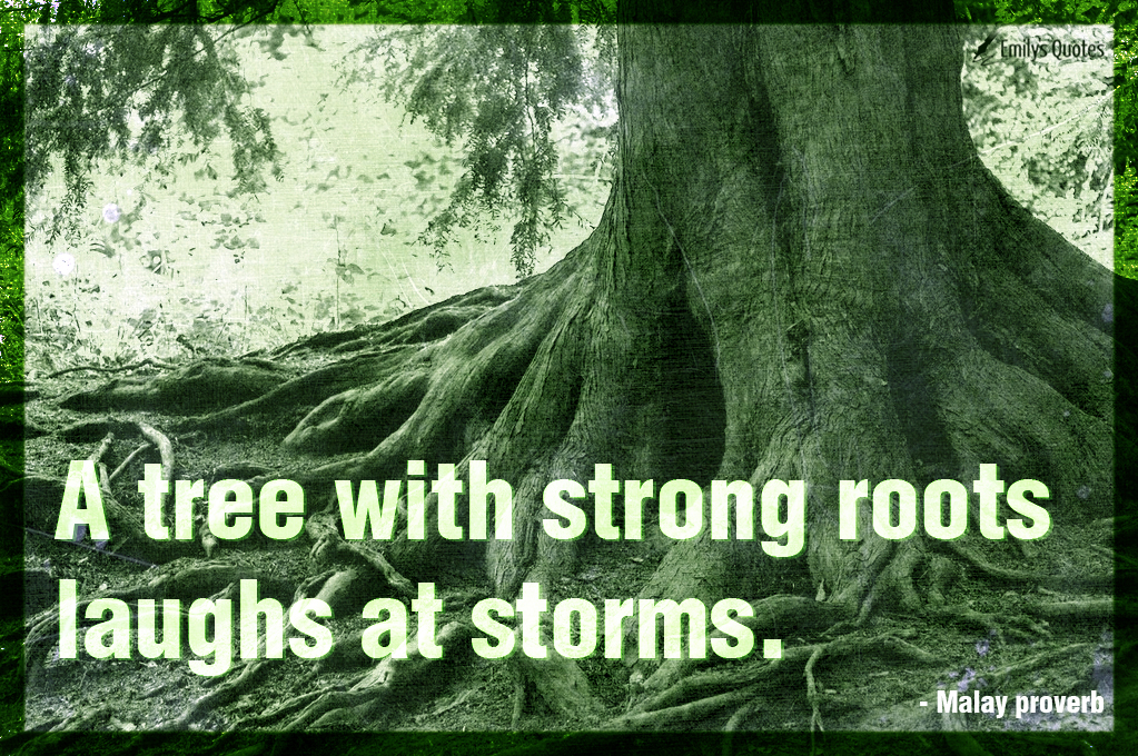 A tree with strong roots laughs at storms