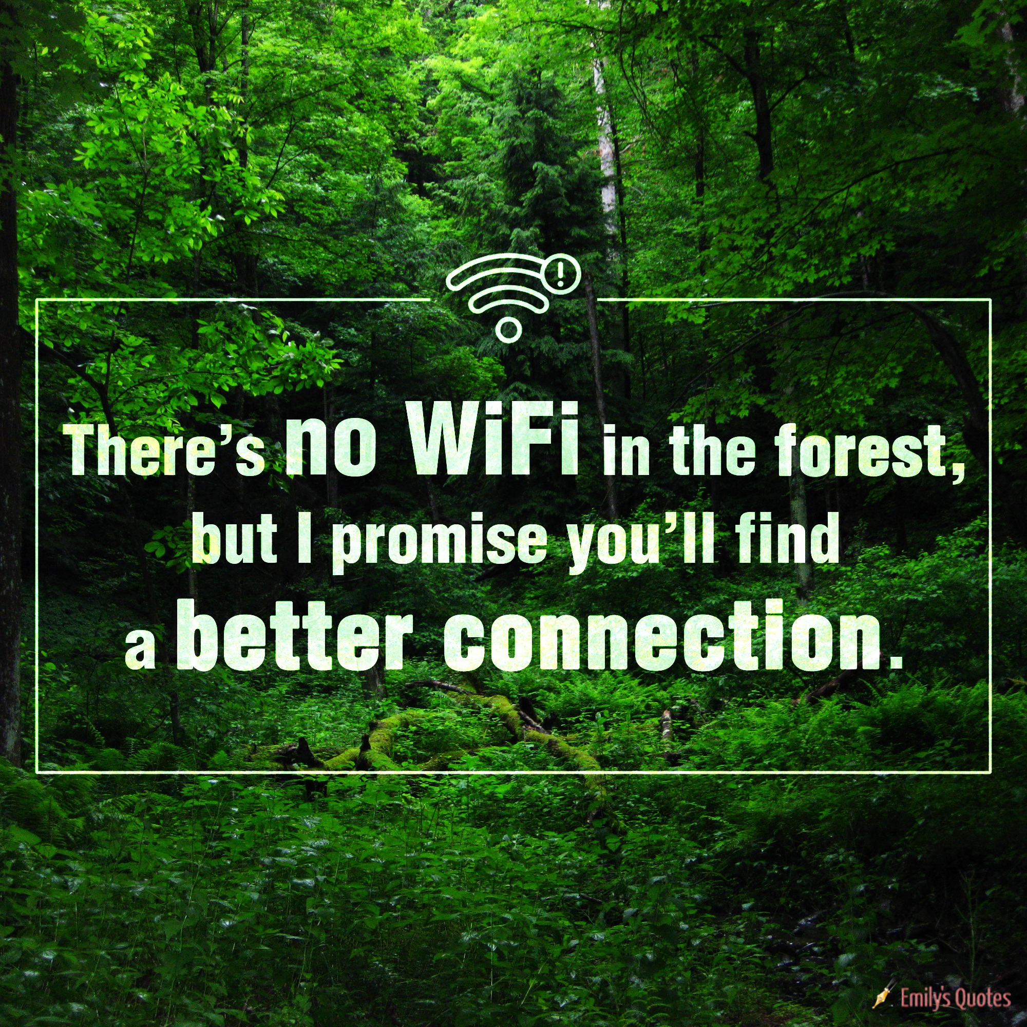 There’s no WiFi in the forest, but I promise you’ll find a better connection